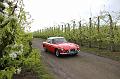 MG Bloesemrit op 24-4-2016 org. Jos&Marie-lou  (59)